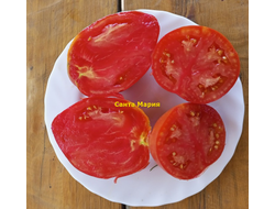 Томат Санта Мария (Santa Maria)