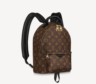 Женский рюкзак Louis Vuitton Palm Springs PM Monogram