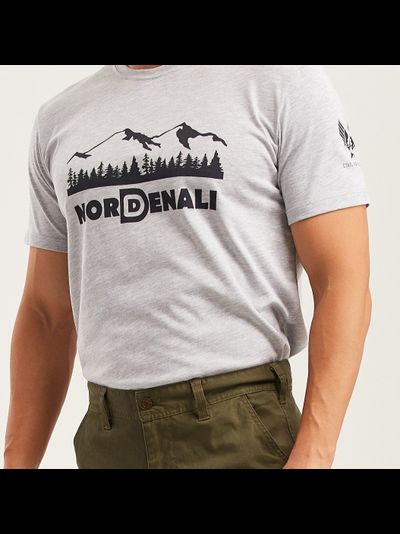 Футболка мужская DENALI BASIC Grey melange