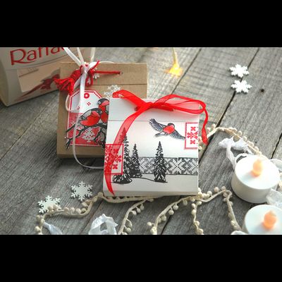 ФП штамп "Снегирь"