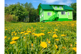 Зеленый дом