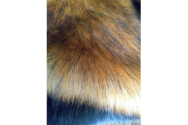 Искусственный мех на опушку рыжая лиса (длина ворса 5-6 см)