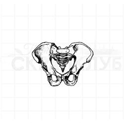 ФП штамп "Таз" (а)