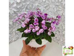 Flashy Trail (H.Pittman) TX Hyb трейлер