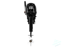Лодочный мотор Gladiator G9.9FHS (15)