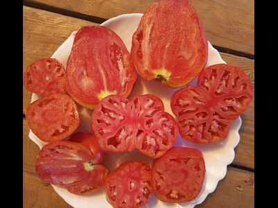 Томат Ребристый Эуганских Холмов (Costoluto Colli Euganei), Италия