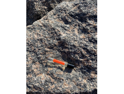 Масло АККОРД: МУЖСКАЯ НЕЖНОСТЬ, 11 мл