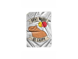 Покрывало Капибара, Kapibara-san №23