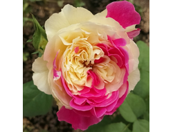 Фугетсу (Fugetsu) яп