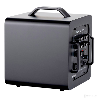 Belcat Busker-Box-Acoustic 4