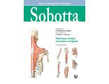 Sobotta. Таблицы мышц, суставов и нервов. Паульсен Ф., Вашке Й. &quot;Логосфера&quot;. 2022