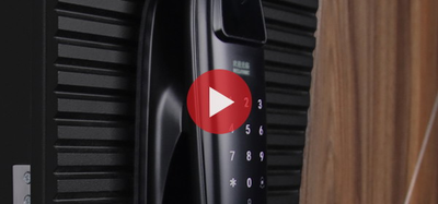 Стальная дверь   Сапсан (биометрический замок Smart lock DZ 888)