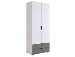 Детская ЗЕФИР - Шкаф двухдверный 120.01 Белое дерево/Серый
