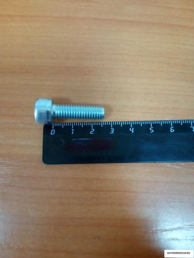 Болт М8*1,25*25 под внутренний шестигранник (цена за 20 шт.)