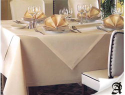 СКАТЕРНЫЕ ТКАНИ