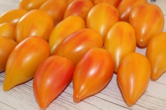 MARINA&#039;S PRAISE (ПОХВАЛА / ГОРДОСТЬ МАРИНЫ)