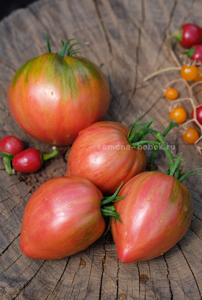 Томат Клубничный Щербет