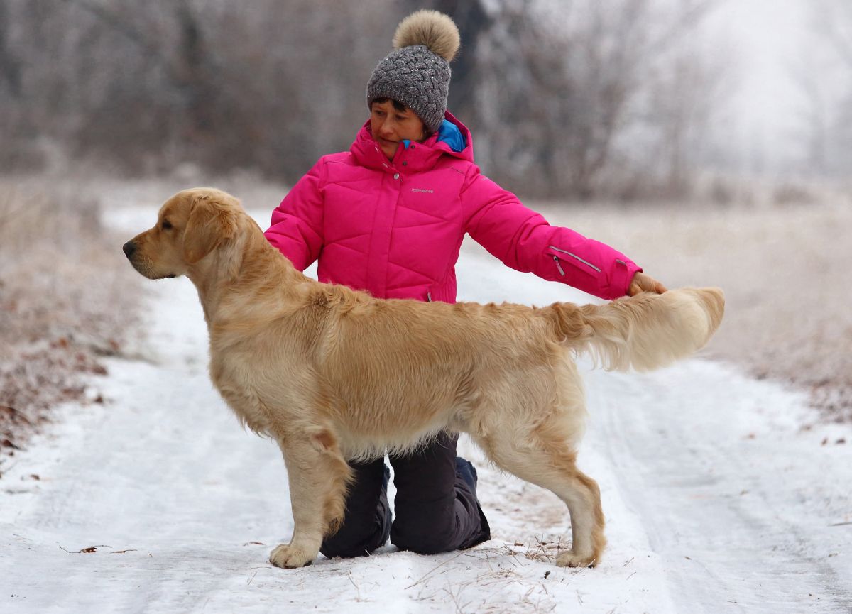 Кобель Terra di Siena Love Me Forever / Тони /