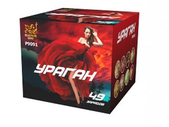 P9091 Ураган