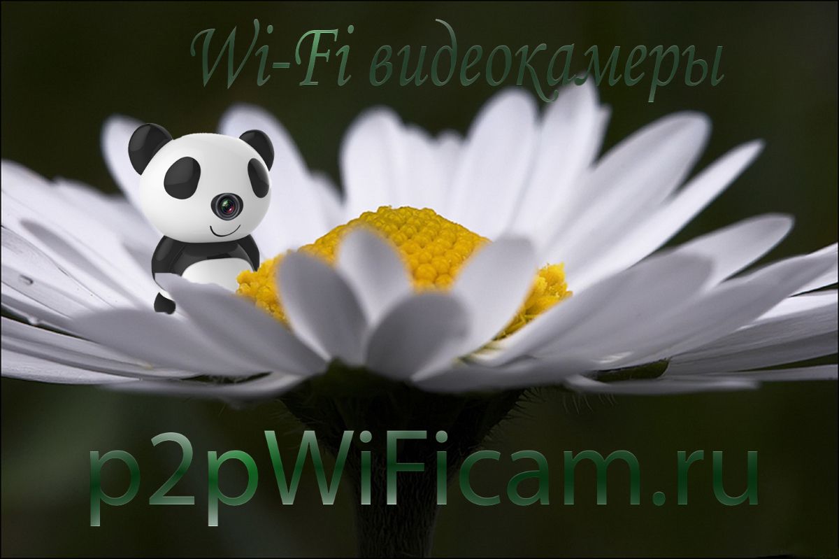 IP видеоняня WiFi-LAN видеокамера с DVR (мишка ПАНДА), HD Артикул: DE-WPANDA