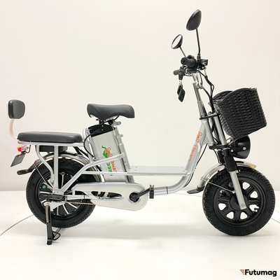 Электровелосипед GreenCamel Транк Монстр (R16FAT 800W 48V15Ah) гидравл. тормоз