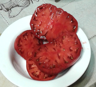 Семена томата Фестиваль Аделаиды Гном