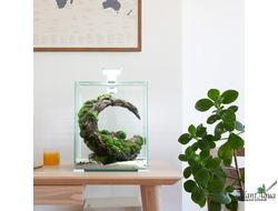 Аквариумы SHRIMP SET SMART LED DAY&NIGHT 30л, 29х29х35 см белый