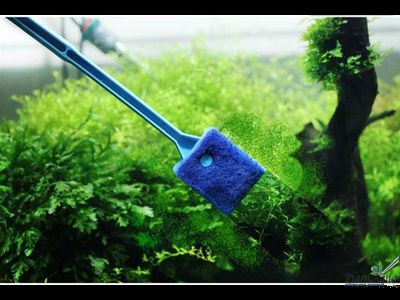 Скребок с губкой 40 см