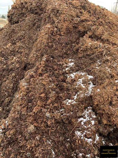 отработанный грибной субстрат