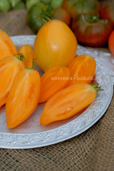 Томат Orange Walk (Оранжевая Прогулка), 10 шт