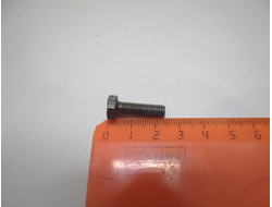 Болт М 6 (для мопедов Рига)