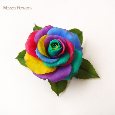 Брошь-заколка "Радужная роза".