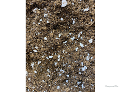 Грунт для рассады  2л