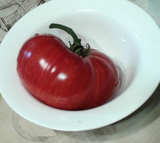 Семена томата Жар-птица сладкая Гном