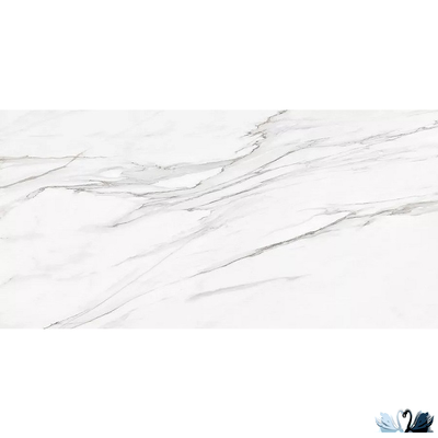 Керамогранит Stellare Ceramica Callacata Silver 60x120 см белый матовый