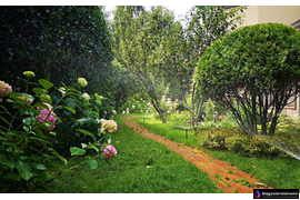 Монтаж и проектирование автоматического полива