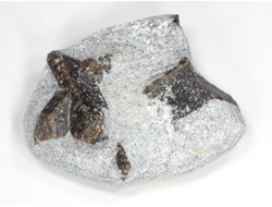 Ставролит, сросток кристаллов "косой крест" на сланце, Россия, Кольский п-ов (55*41*19 мм, 50 г) №26083