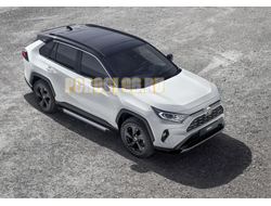 Пороги на Toyota Rav-4 (2019-…) Start