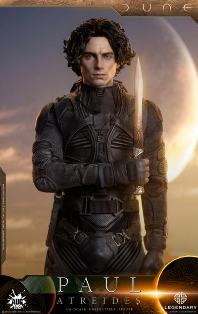 Пол Атрейдес (Тимоти Шаламе, "Дюна") - Коллекционная ФИГУРКА 1/6 scale Dune Paul Atreides (DL003) - AUG TOYS