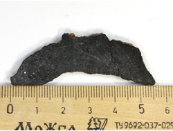 Метеорит "Царёв" в пластиковом боксе, Россия, Волгоградская обл (55*23*4 мм, 8,5 г) №23450