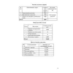 Профессиональный расчет финансового план для бизнес-плана под выплату от  ЦЗН