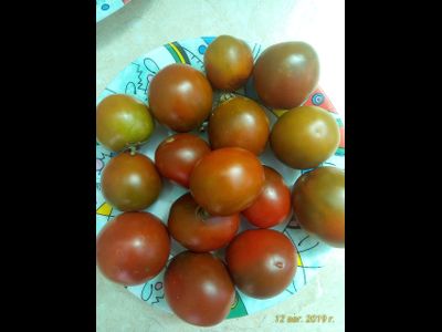 Томат Словенский черный  (Slovenian Black) США