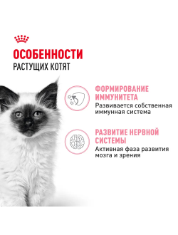 Royal Canin (Роял Канин) Kitten Влажный корм (пауч) для котят от 4 до 12 месяцев, кусочки в соусе, 85 г