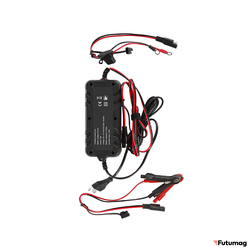 Зарядное устройство для AGM, GEL, LiFePo4 аккумуляторов 6-12V4-120AН