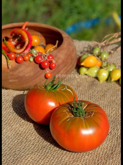 Томат Cowboy (Ковбой), 10 шт