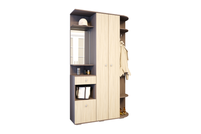 ЛДСП Прихожая ВИЗА Ясень Шимо темный-светлый