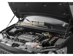 Амортизаторы капота, 2 шт. АвтоУпор для Chevrolet Aveo II T300 2011-2015