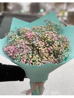 15 веток гипсофилы