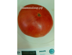 Томат Розовая магия (Болгария)