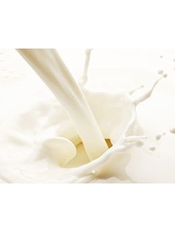 Milk lactone (Ventos) / Молочный лактон